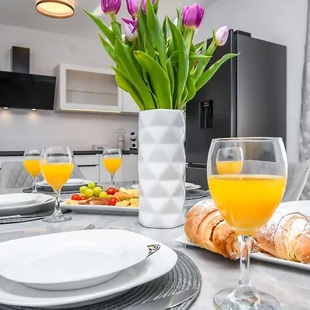 Silver Shine * טרוגיר