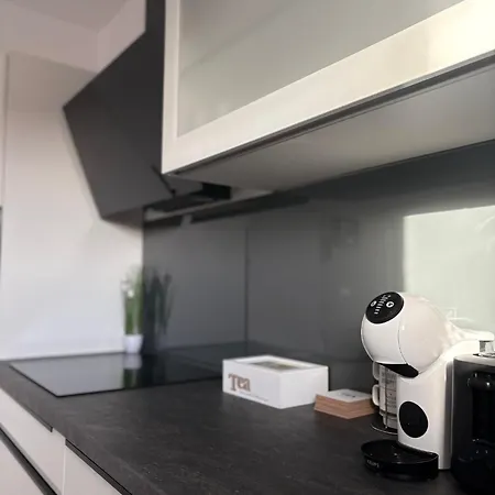 Silver Shine Apartman